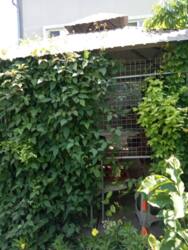 Капітальний будинок у передмісті Чорноморська фото 12 Капітальний будинок у передмісті Чорноморська фото 12