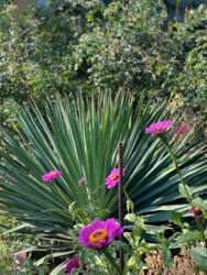 Гарний будинок в Сажійці фото 14 Гарний будинок в Сажійці фото 14