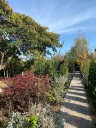 Гарний будинок в Сажійці фото 12 Гарний будинок в Сажійці фото 12