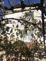 Продається будинок Вишневая ,ЗАРЯ 1, Малодолинське, Чорноморськ, Одеська фото 7 Продається будинок Вишневая ,ЗАРЯ 1, Малодолинське, Чорноморськ, Одеська фото 7