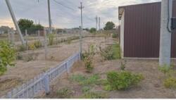 ���� � �.�������� ���� 11