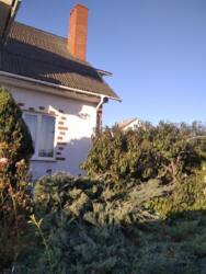 ��������, ���������� ��� � ��������� ������ ���� 4