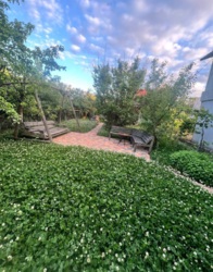 ������� ���� 16