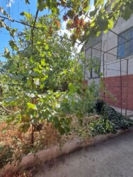 � ������� ������� ��� ����� ���� 2