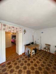 ������� ���� 17