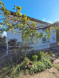 ���� �� �������� ���� 1