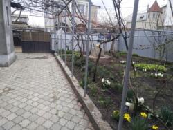 ��� � ��������� ���� 7