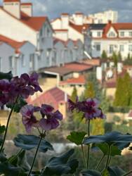 Таунхаус в елітному ЖК Олександрійський фото 26 Таунхаус в елітному ЖК Олександрійський фото 26