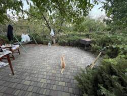 Терміновий продаж дачі в Сухому лимані фото 2 Терміновий продаж дачі в Сухому лимані фото 2