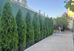 Будинок в Чорноморську фото 21 Будинок в Чорноморську фото 21