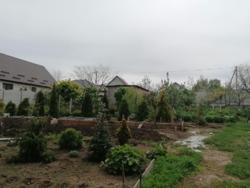 ��� ��������������� ���� 10