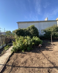 ��� ����� ������ ���� 9