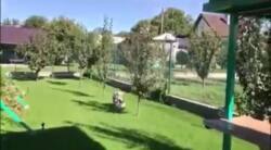 �������� ������� ���� 2