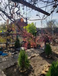 Приватний будинок у Великодолинському фото 5 Приватний будинок у Великодолинському фото 5