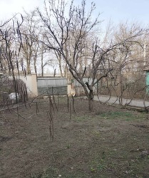 Продається будинок Молодіжне, Молодіжне, Одеська фото 5 Продається будинок Молодіжне, Молодіжне, Одеська фото 5