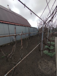 Будинок на Волні фото 5 Будинок на Волні фото 5