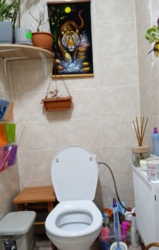 ������� � ������������ ���� 5