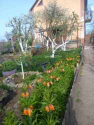 � ������� 2������� � ��� '�����������' ���� 1