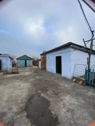 ������� ���� 8