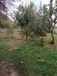 ������� ���� 8