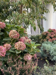 ��� ��������� �������! ���� 8