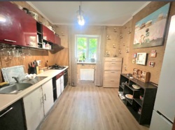 ������� ���� 12