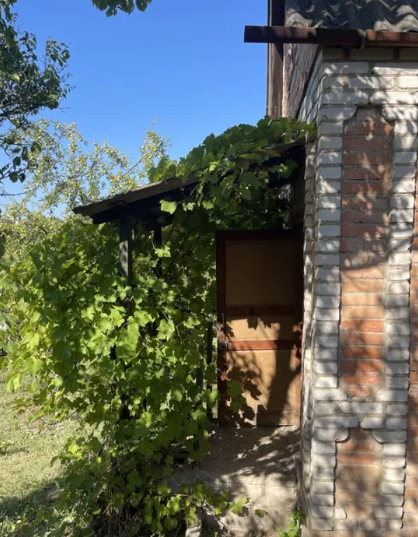 ������ �������� ������ �� �������� ������� ���� 1