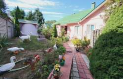 ������ 1 ����������� ������� ������ � ������� �� 18 �����, 150 ��. �, 5 �����, �� ���. ĳ����� ̳����� ���� 3