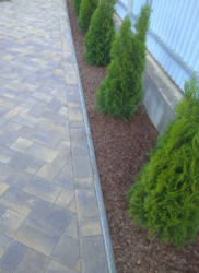 �������� ������� � ³�����. ������, ����. ���� 7