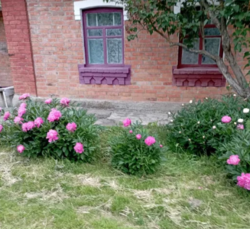 ��������� ������� �� ��������� ������� � �. ³����� ���� 1