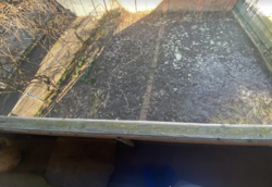 Продаж 2 поверхового будинку з ділянкою на 5 соток, 130 кв. м, 5 кімнат, на вул. Чумацька фото 10 Продаж 2 поверхового будинку з ділянкою на 5 соток, 130 кв. м, 5 кімнат, на вул. Чумацька фото 10