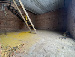 ������ ��������� ���� 5