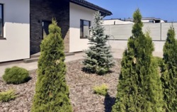 ������ ��������������� ������� ���� 1