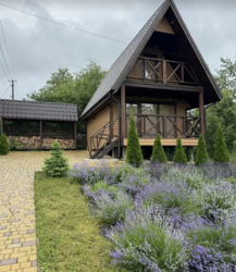 ������ 2 ����������� ������� � ������� ���� 1