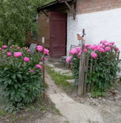 ��������� ������� �� ��������� ������� � �. ³����� ���� 2