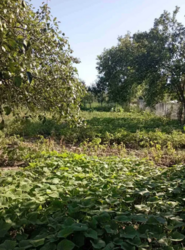 ��������� ������� �� ��������� ������� � �. ³����� ���� 6