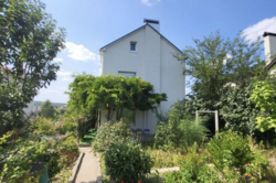 ������ 3 ����������� ������� � ��������� � ������� �� 11.5 �����, 180 ��. �, 4 ������ ���� 1