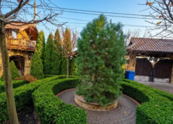 ������ ��������� ����������������� ������� � ������������� �������� ���� 3