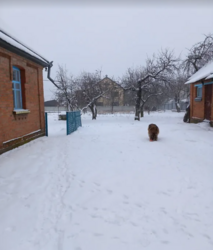 ������ ������� ������� �� ���. ����� ���� 6