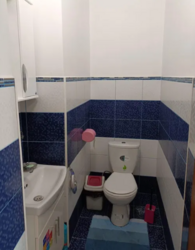 ������ ��� ������� ���� 13