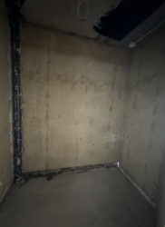 ������ ��������� ����� ���� 8