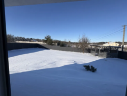 ������ �� �������� ������� ���� �������������� �� ����� ���� 6