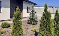 ������ ��������������� ������� ���� 9