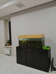 ������ �������, ���������� ����� ���� 17