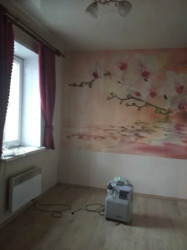 Продається будинок Запоріжжя, Запорізька, Дніпровський фото 13 Продається будинок Запоріжжя, Запорізька, Дніпровський фото 13