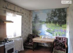 Продається будинок Запорізька, Запоріжжя, Дніпровський, Колпака фото 15 Продається будинок Запорізька, Запоріжжя, Дніпровський, Колпака фото 15