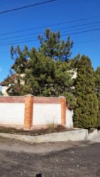 Продається будинок Запорізька, Запоріжжя, Комунарський, ул. Оранжерейная фото 6 Продається будинок Запорізька, Запоріжжя, Комунарський, ул. Оранжерейная фото 6