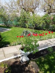 Продається будинок Запорізька, Запоріжжя, Шевченківський фото 1 Продається будинок Запорізька, Запоріжжя, Шевченківський фото 1