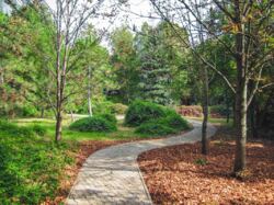 Ексклюзивна пропозиція. Заміський сімейний маєток фото 16 Ексклюзивна пропозиція. Заміський сімейний маєток фото 16