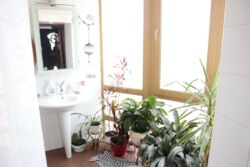 Продається будинок Запорізька, Запоріжжя, Дніпровський, Памятный пер., 10 фото 4 Продається будинок Запорізька, Запоріжжя, Дніпровський, Памятный пер., 10 фото 4